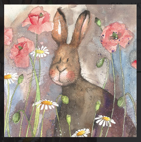 Alex Clark Kort / Hare & Poppies