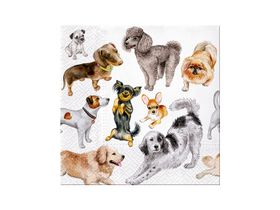 Servetter / Dogs happiness