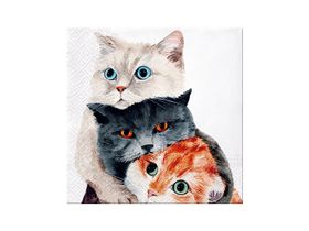 Servetter / Cats Better Together