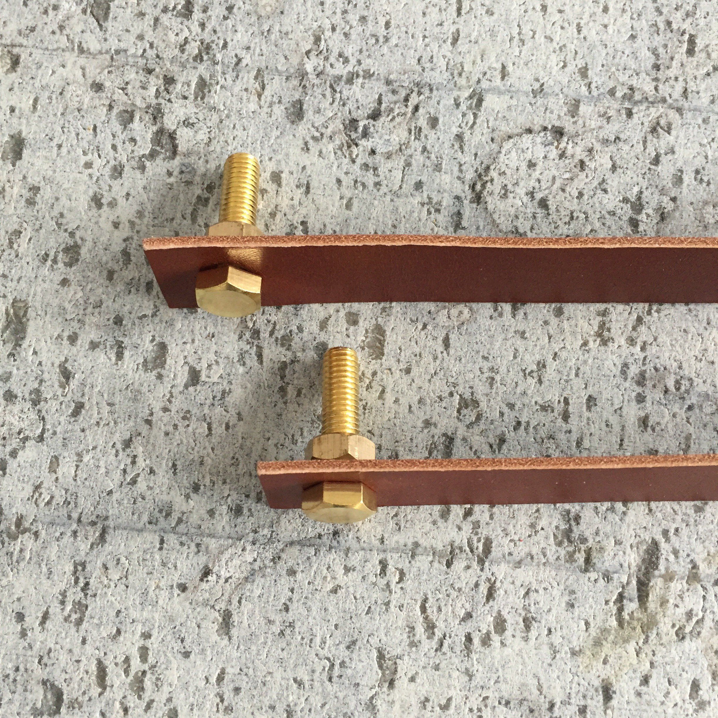 Leather & Brass Handles