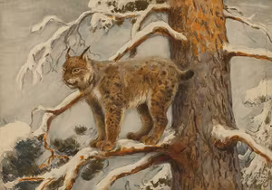 LODJUR 1926 av NILS TIRÉN