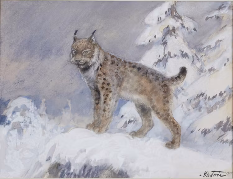 LODJUR 1924 av NILS TIRÉN