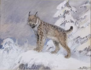 LODJUR 1924 av NILS TIRÉN