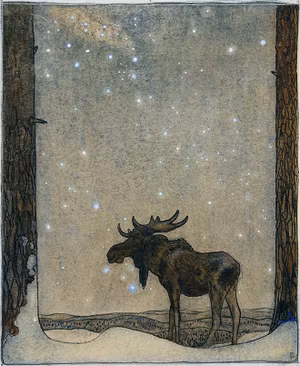 ÄLG I VINTERLANDSKAP