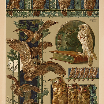 UGGLA UGGLOR Jugend Ornament SEDER