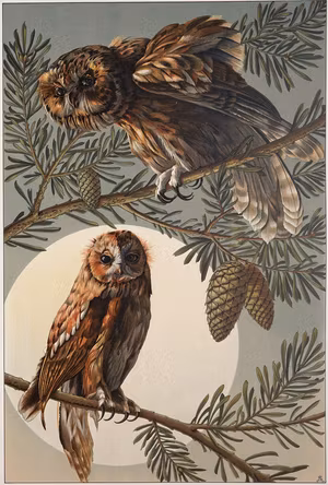 UGGLOR I GRAN Jugend SEDER