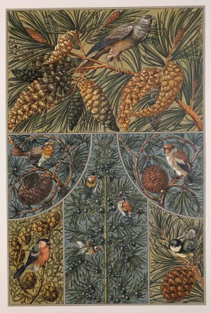 FÅGLAR I GRAN OCH FURU Jugend Ornament SEDER