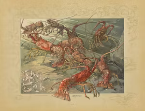 KRÄFTOR Jugend SEDER