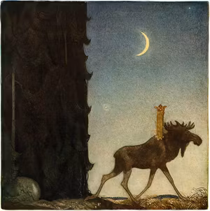 TUVSTARR RIDER PÅ SKUTT