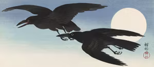 FLYGANDE KORPAR I FULLMÅNE av OHARA KOSON Korp