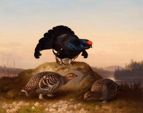 ORRAR av FERDINAND VON WRIGHT Oljetryck