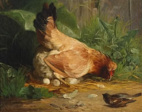 HÖNA FÖRSVARAR SINA ÄGG av ADOLF MACKEPRANG Konsttryck på duk