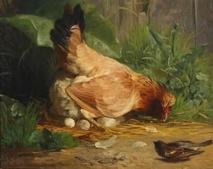 HÖNA FÖRSVARAR SINA ÄGG av ADOLF MACKEPRANG Konsttryck på duk