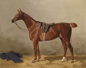 HÄST PORTRÄTT av EMIL VOLKERS