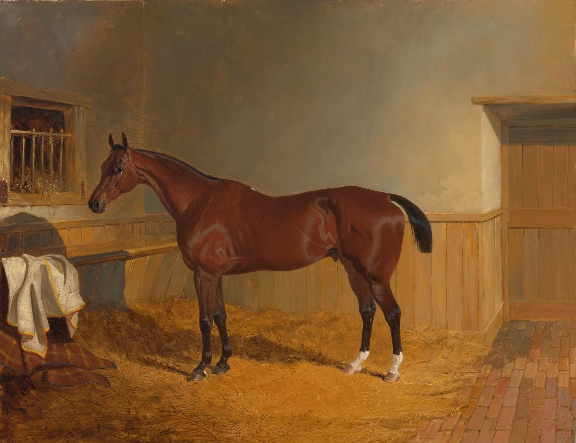 BLUEBEARD HÄST PORTRÄTT av JOHN HERRING