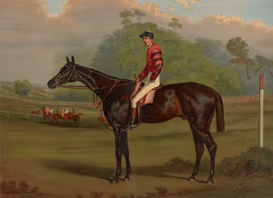 HÄST PORTRÄTT 1879 av HALL