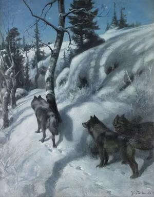VARGAR I VINTERLANDSKAP av JOHAN TIRÉN Konsttryckt på duk
