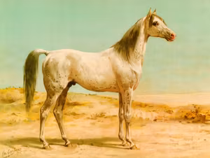 ARABISKT FULLBLOD av OTTO EERELMAN Oljetryck