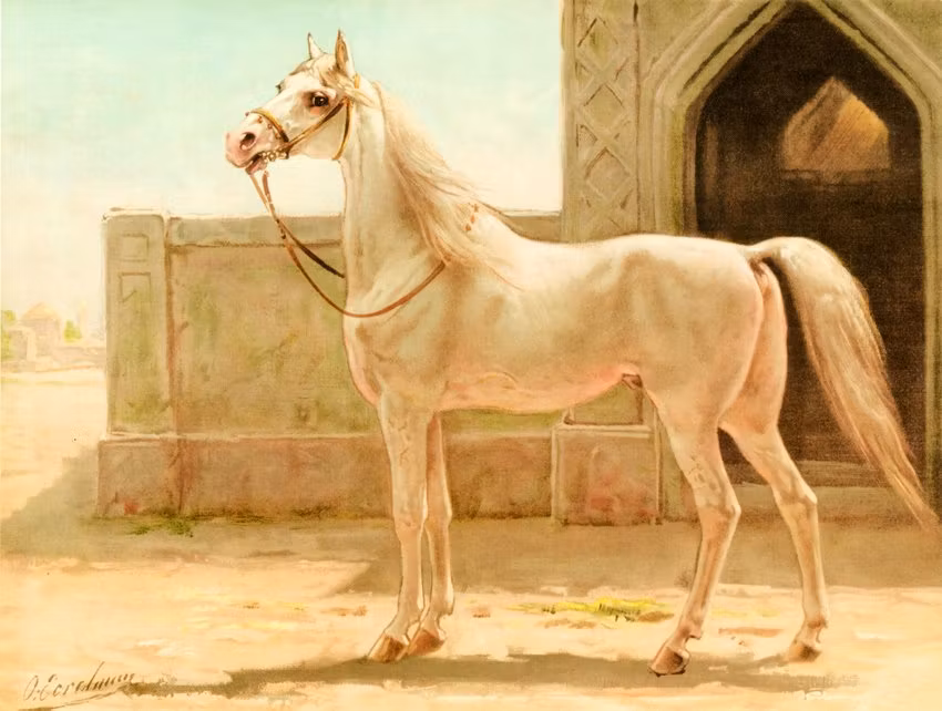 PERSISK HÄST av OTTO EERELMAN Oljetryck