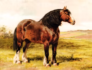 SHIRE HÄST av OTTO EERELMAN Oljetryck