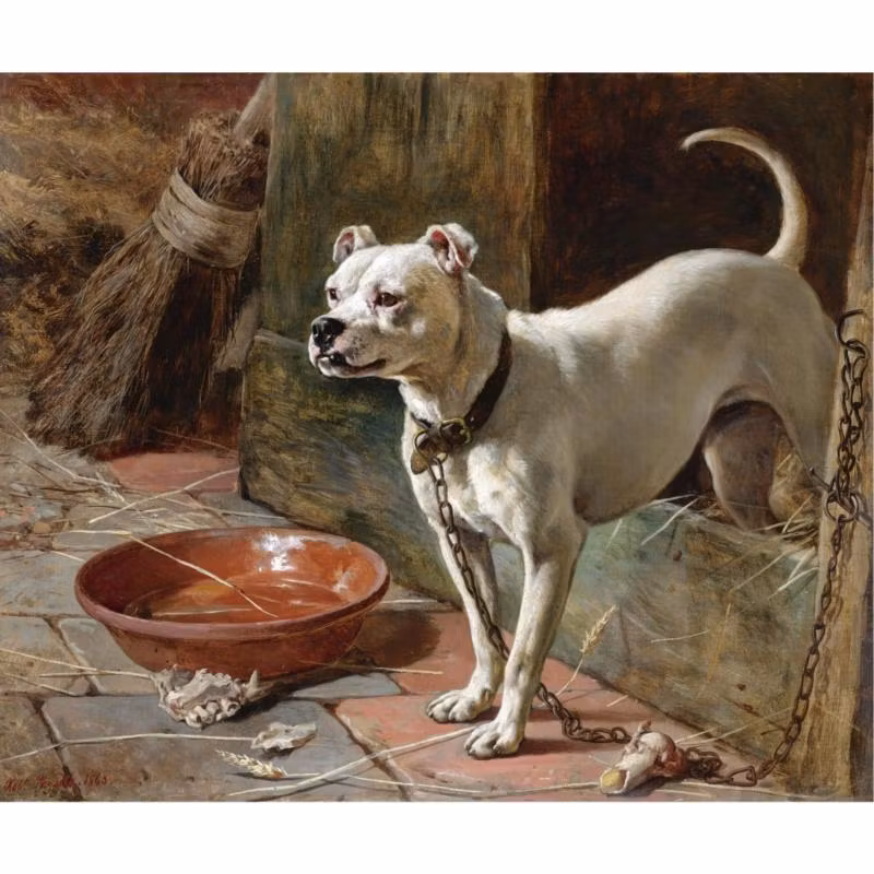 PIT BULL HUND PÅ VAKT av PHYSICK