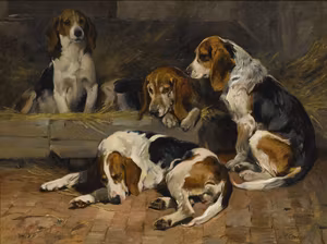 BEAGLE HUNDAR av JOHN EMMS Konsttryck på duk