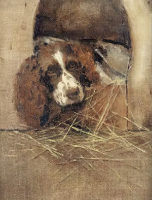 HEMMA - SPANIEL HUND av SAMUEL FULTON Konsttryckt på duk