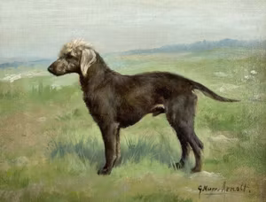 BEDLINGTONTERRIER av GUSTAV MUSS-ARNOLT Konsttryckt på duk
