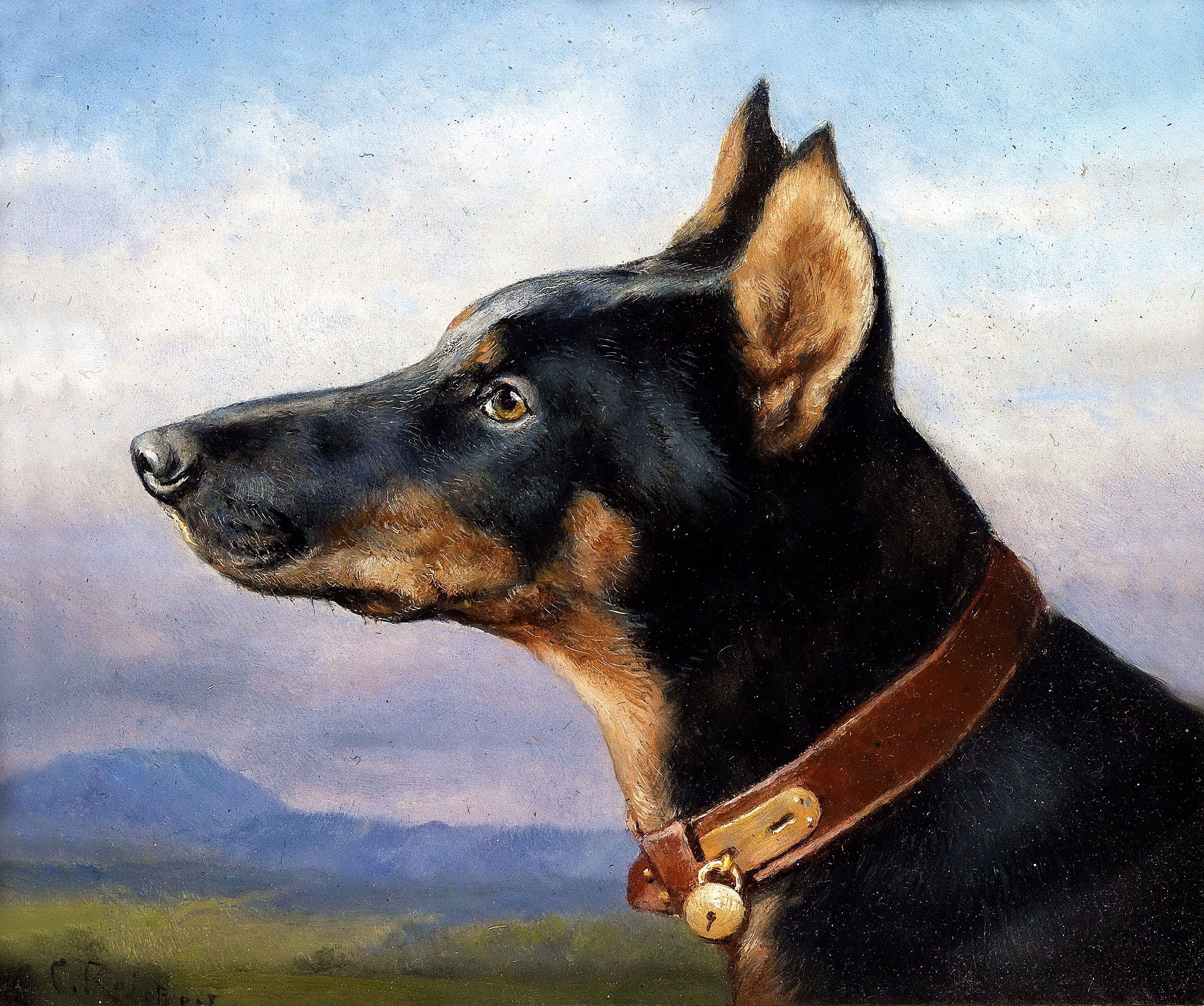 DOBERMANN HUND PORTRÄTT 1916 av CARL REICHERT Oljetryck