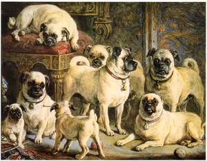 MOPSAR – BEST IN SHOW av GOURLAY STEELL Konsttryckt på duk