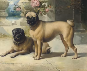 ETT DISTINGERAD MOPS PAR av HENRY BARRAUD Oljetryck