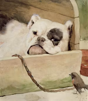 ENGLISH BULLDOG AND TWEETY BIRD av CECIL ALDIN  Bulldogg Rödhake OLJETRYCK