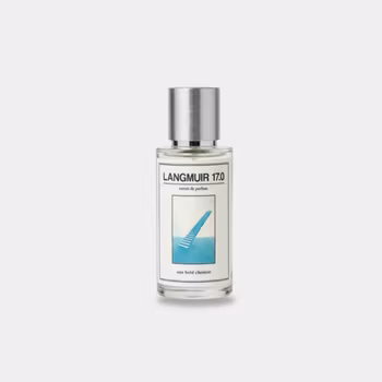 Langmuir 17.0