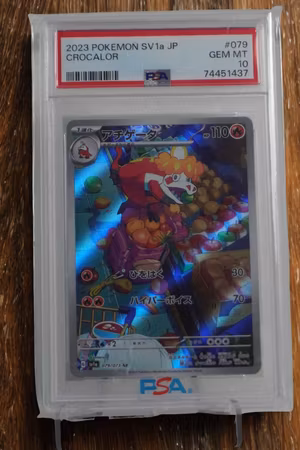 Crocalor PSA 10
