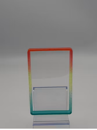 PSA Graded Card Slab Guard- Twister