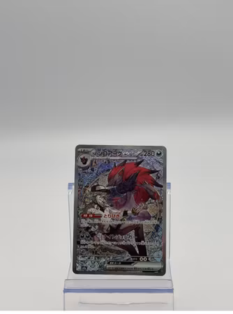 N's Zoroark ex