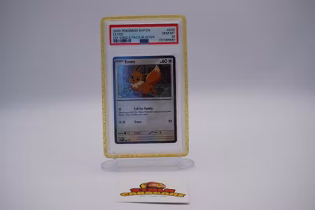 PSA 10 Eevee Black star Promo Dri