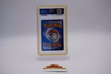 PSA 10 Eevee Black star Promo Dri