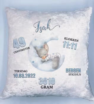 Fødselspute - Mus på måne (blå)