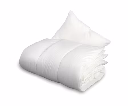 Paket Täcke och kudde 150x200 + 50x60 Borganäs of Sweden