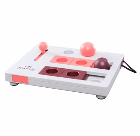 Cat Activity BrainMover