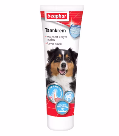 Tandkräm med Enzymer Hund/Katt 100g