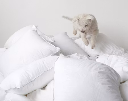 Hotellkudde 900g 50x90 Borganäs of Sweden