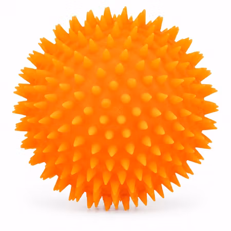 Igelkottsboll vinyl 10 cm – pipleksak för hund