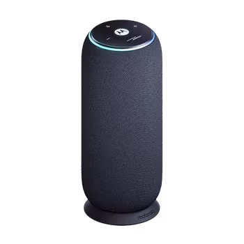 Motorola Moto Sound Flow - Carbon