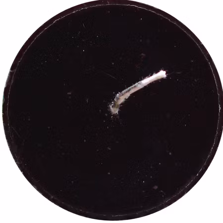 Blockljus Lyx - Svart - Ø7X11 cm - 46h