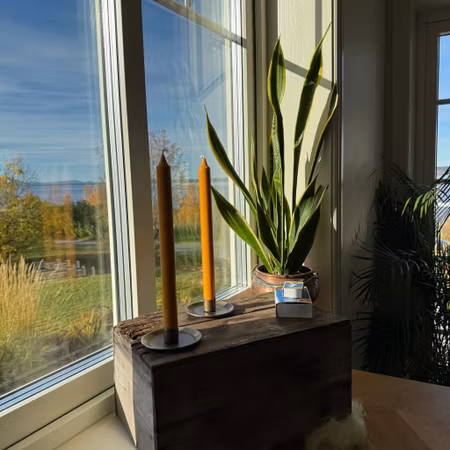 Kronljus - Cheddar - 28 cm - 10h