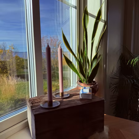 Kronljus - Dimrosa - 28 cm - 10h