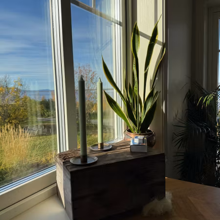 Kronljus - Ljusgrön - 28 cm - 10h