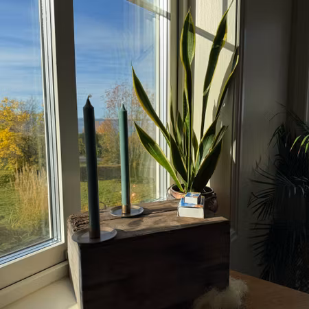 Kronljus - Antikgrön - 28 cm - 10h